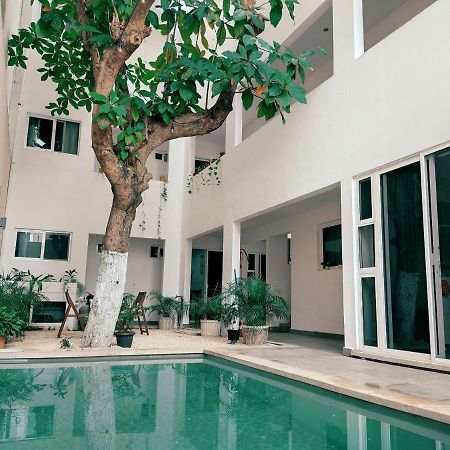 Cozy Studios Zazil-Ha Playa del Carmen Exteriör bild