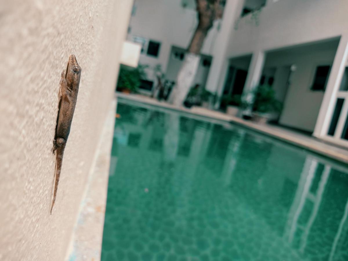 Cozy Studios Zazil-Ha Playa del Carmen Exteriör bild