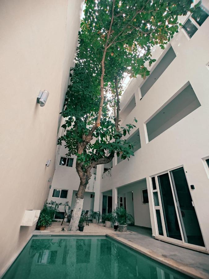 Cozy Studios Zazil-Ha Playa del Carmen Exteriör bild