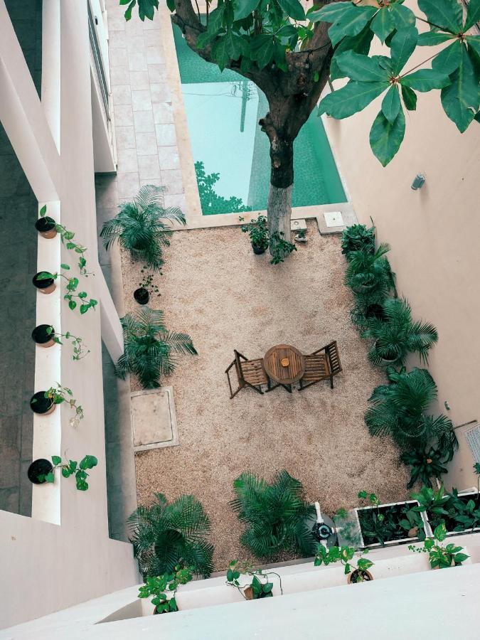 Cozy Studios Zazil-Ha Playa del Carmen Exteriör bild